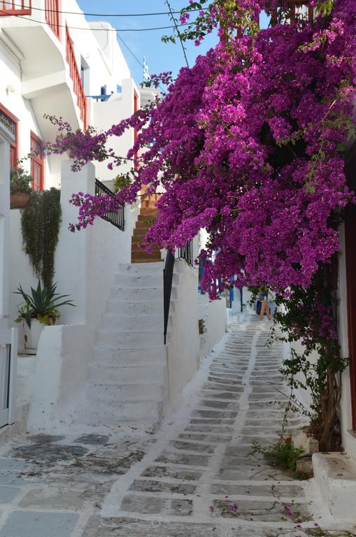 White And Grey Chora Apartment Mykonos Town Ngoại thất bức ảnh